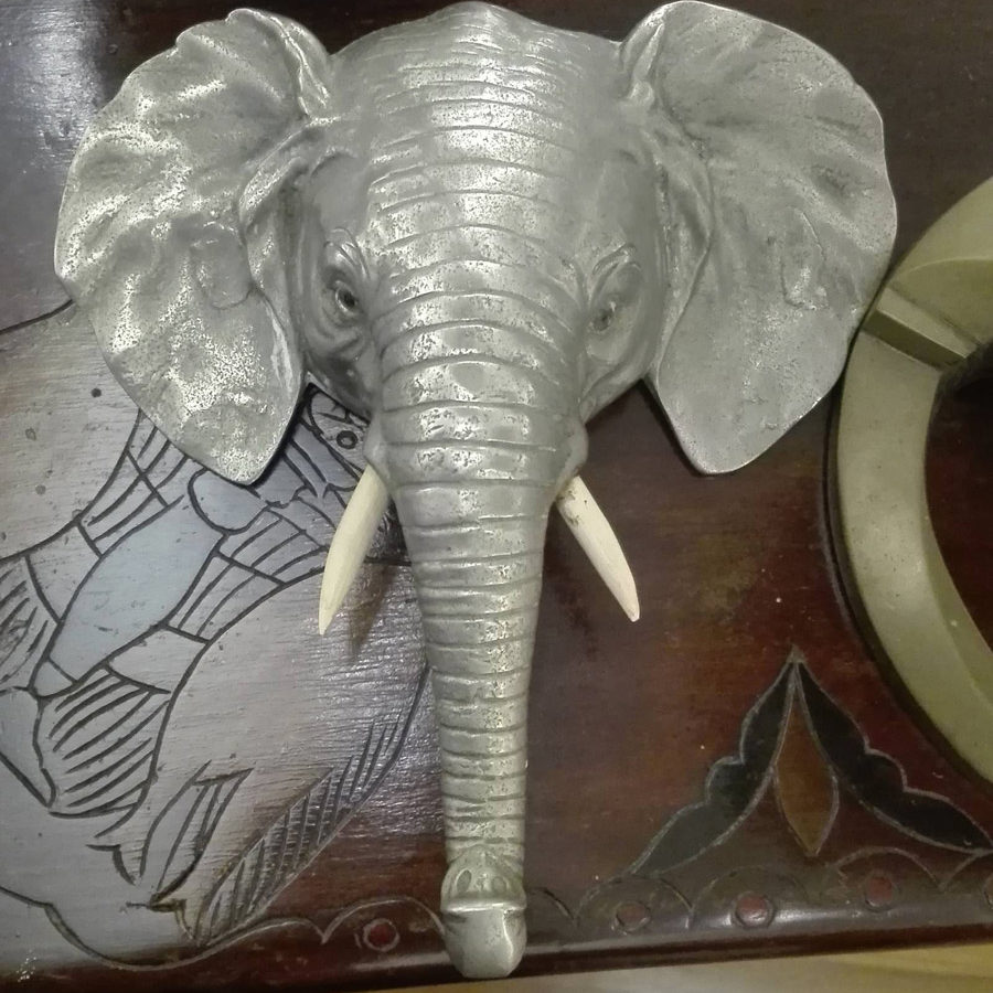 elefante elefante